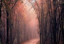 NG体育官网:英超:领头羊利物浦以5比0 轻取西哈姆.