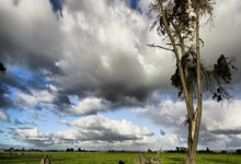 冷库美媒晒库里进三分后回头瞪着伊萨洛露出吓人眼神:!.